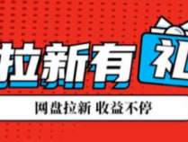 100个实操兼职项目揭秘(2/100):网盘拉新、短视频拉新「浪子叔」