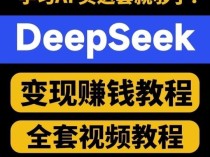 DeepSeek赚钱全套视频教程,入门到精通全套