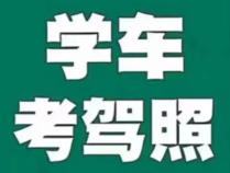 【驾照】考试备考资料合集