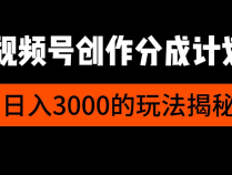 视频号创作者分成计划,每天几分钟,收入100+,小而美项目