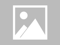 尚玩助手app旗下赏金博士,穿山甲养成方法实践(养成了)