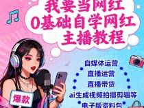0基础自学主播网红教程,自媒体运营教程电子版视频教程