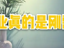 对于副业,说说我的看法?