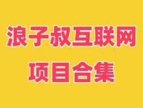 浪子叔项目合集