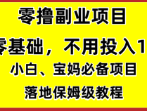 零撸副业项目,零基础,不用投入1分,就可轻松月入过100张,小白、宝妈必备项目,落地保姆级教程。